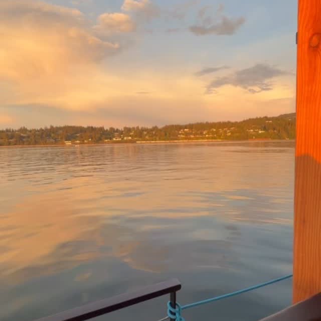 Golden-hour light on calm water during a bay cruise, the shoreline beyond