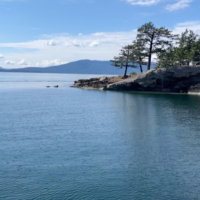 A pine-topped rocky point across calm blue water on a communal bay trip
